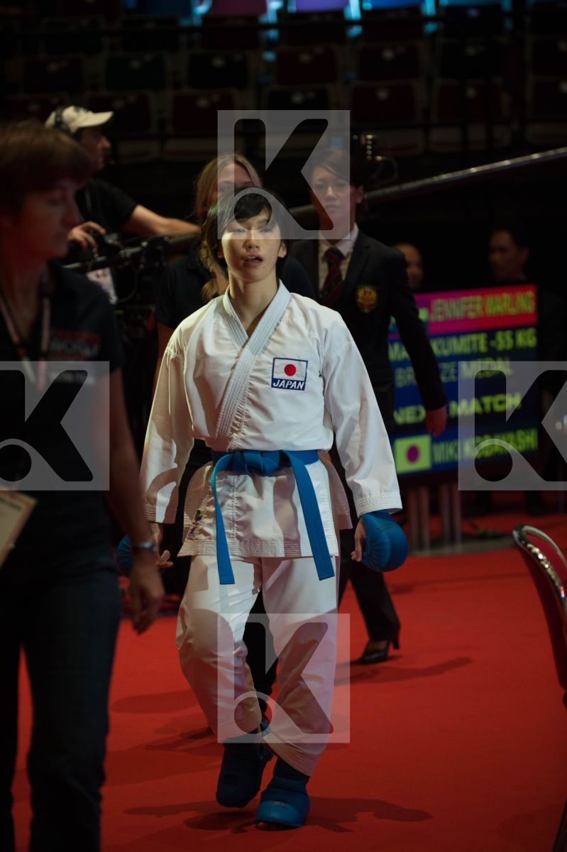World Senior Karate Championship 2014 Bremen