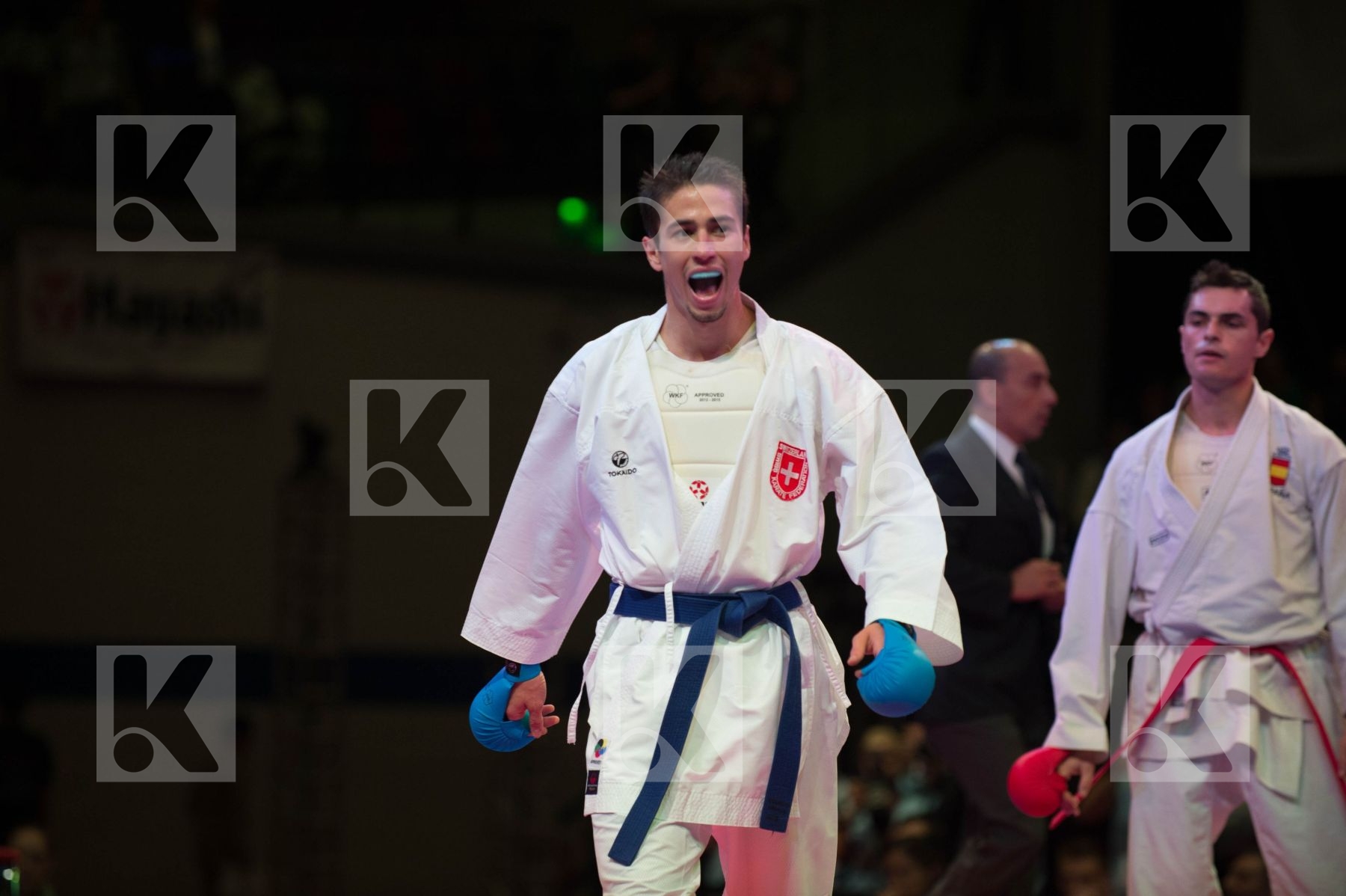 World Senior Karate Championship 2014 Bremen