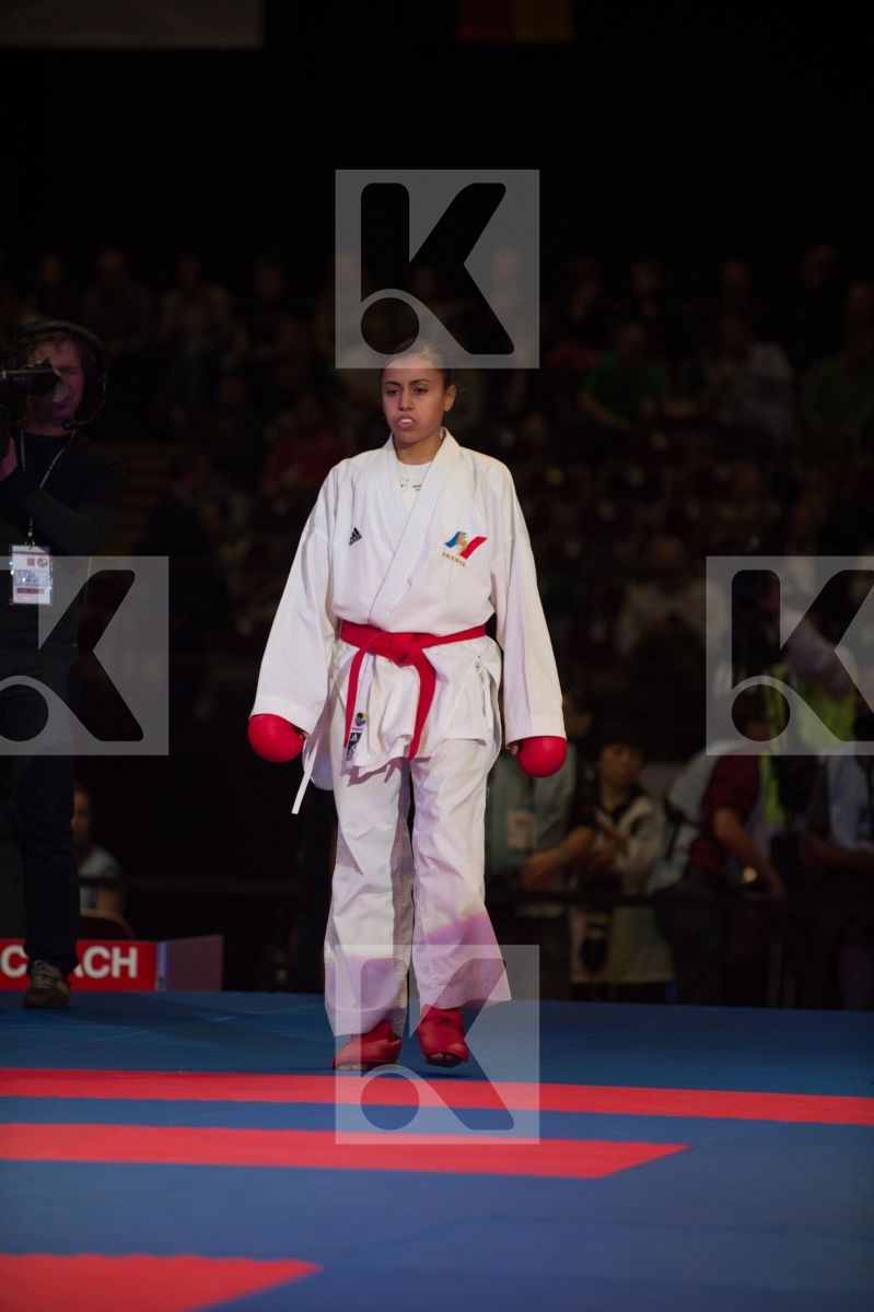 World Senior Karate Championship 2014 Bremen