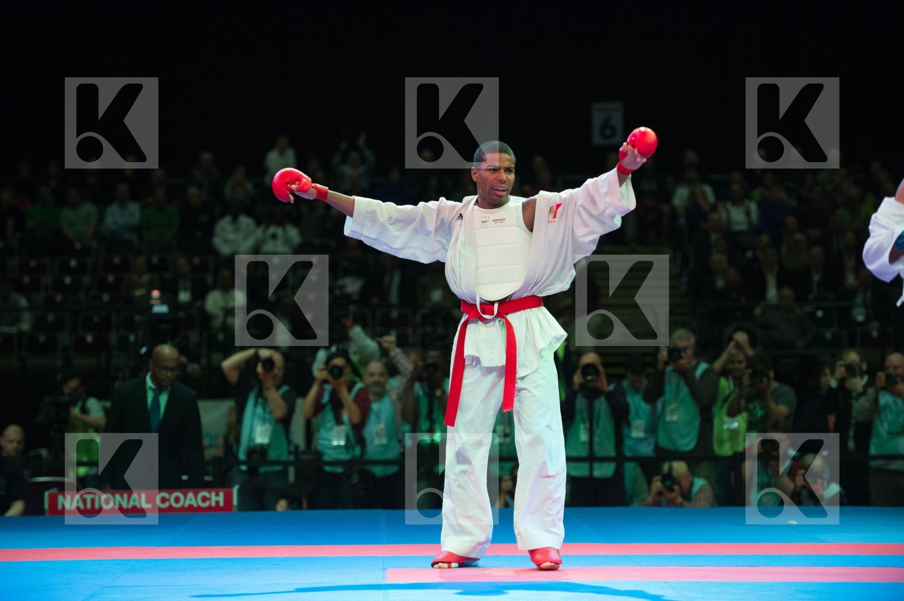 World Senior Karate Championship 2014 Bremen