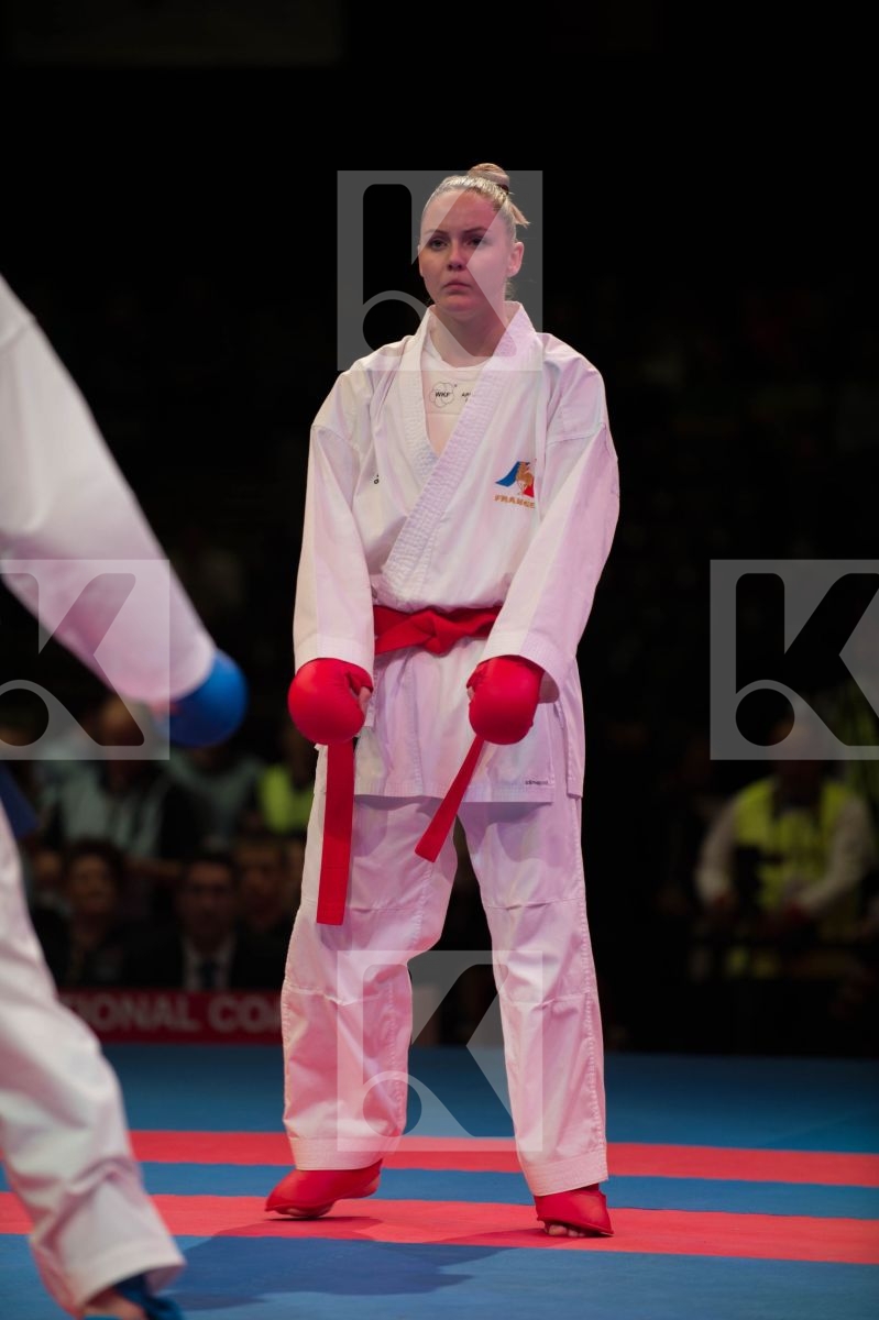 World Senior Karate Championship 2014 Bremen