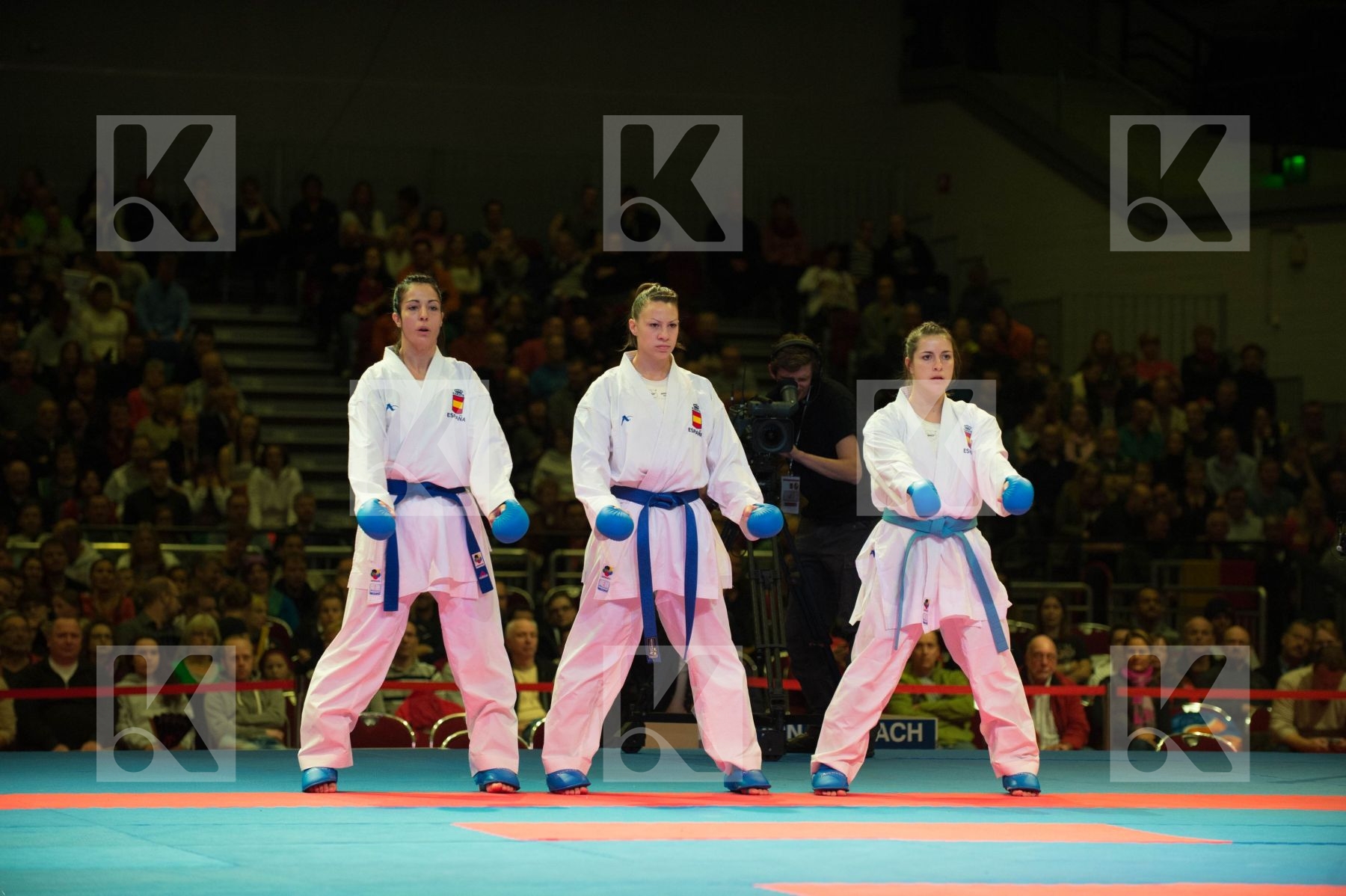 World Senior Karate Championship 2014 Bremen