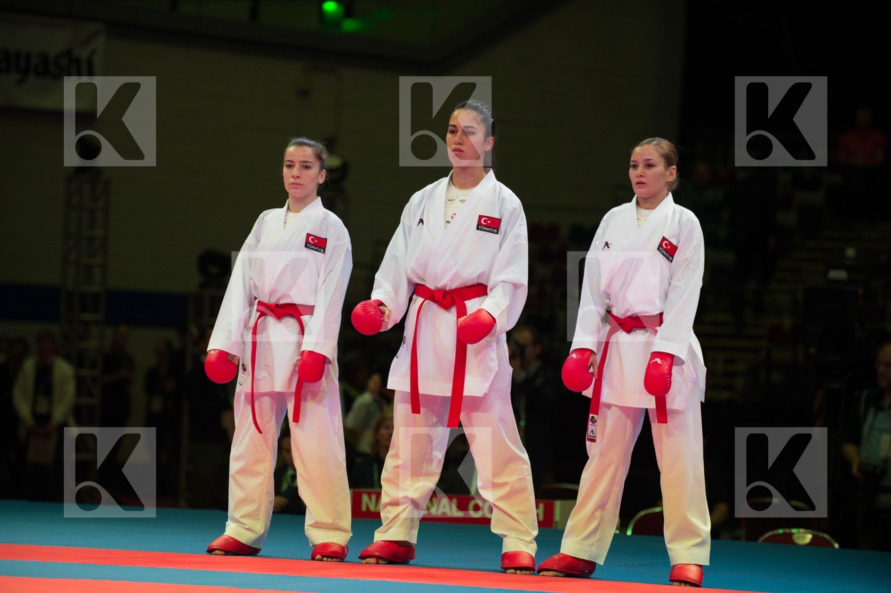 World Senior Karate Championship 2014 Bremen