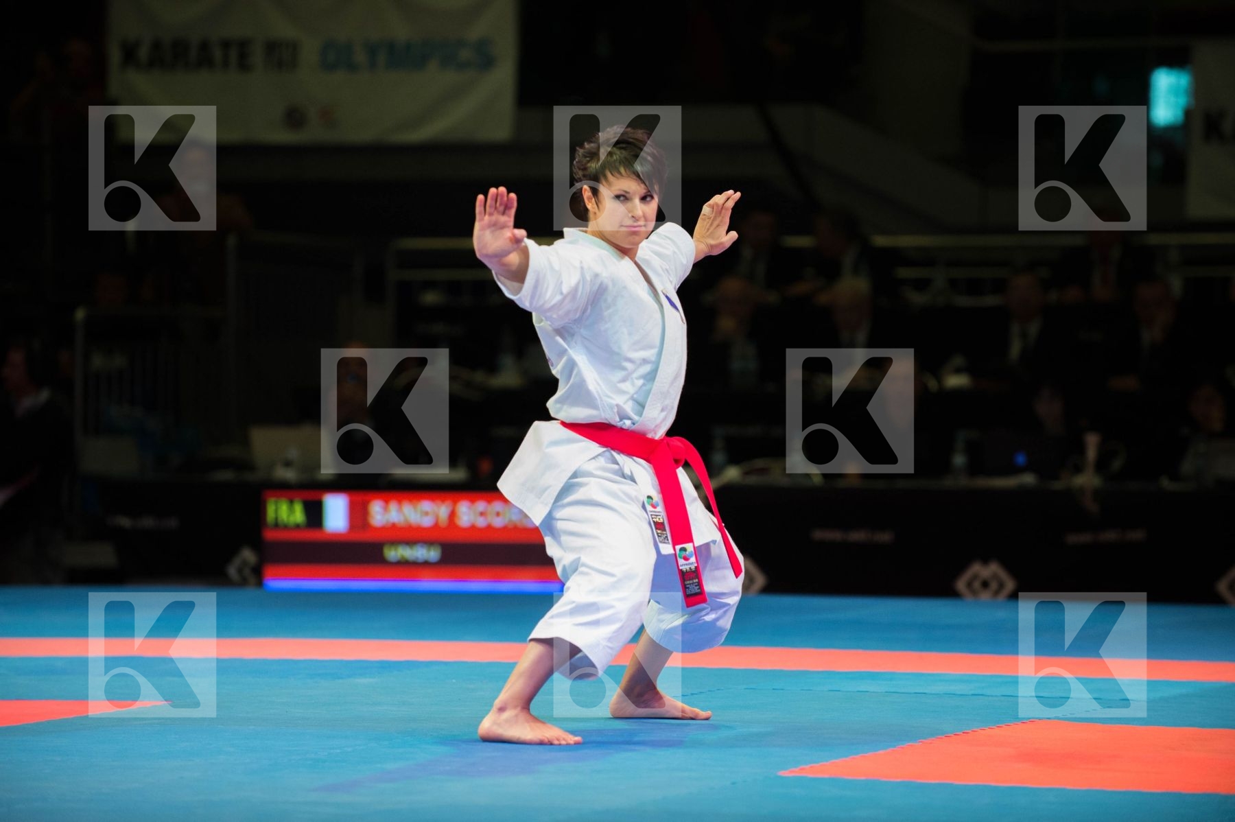 World Senior Karate Championship 2014 Bremen