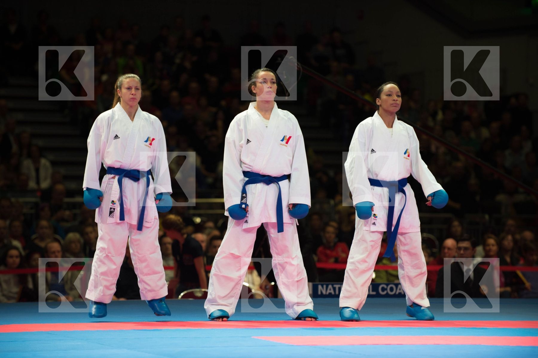 World Senior Karate Championship 2014 Bremen