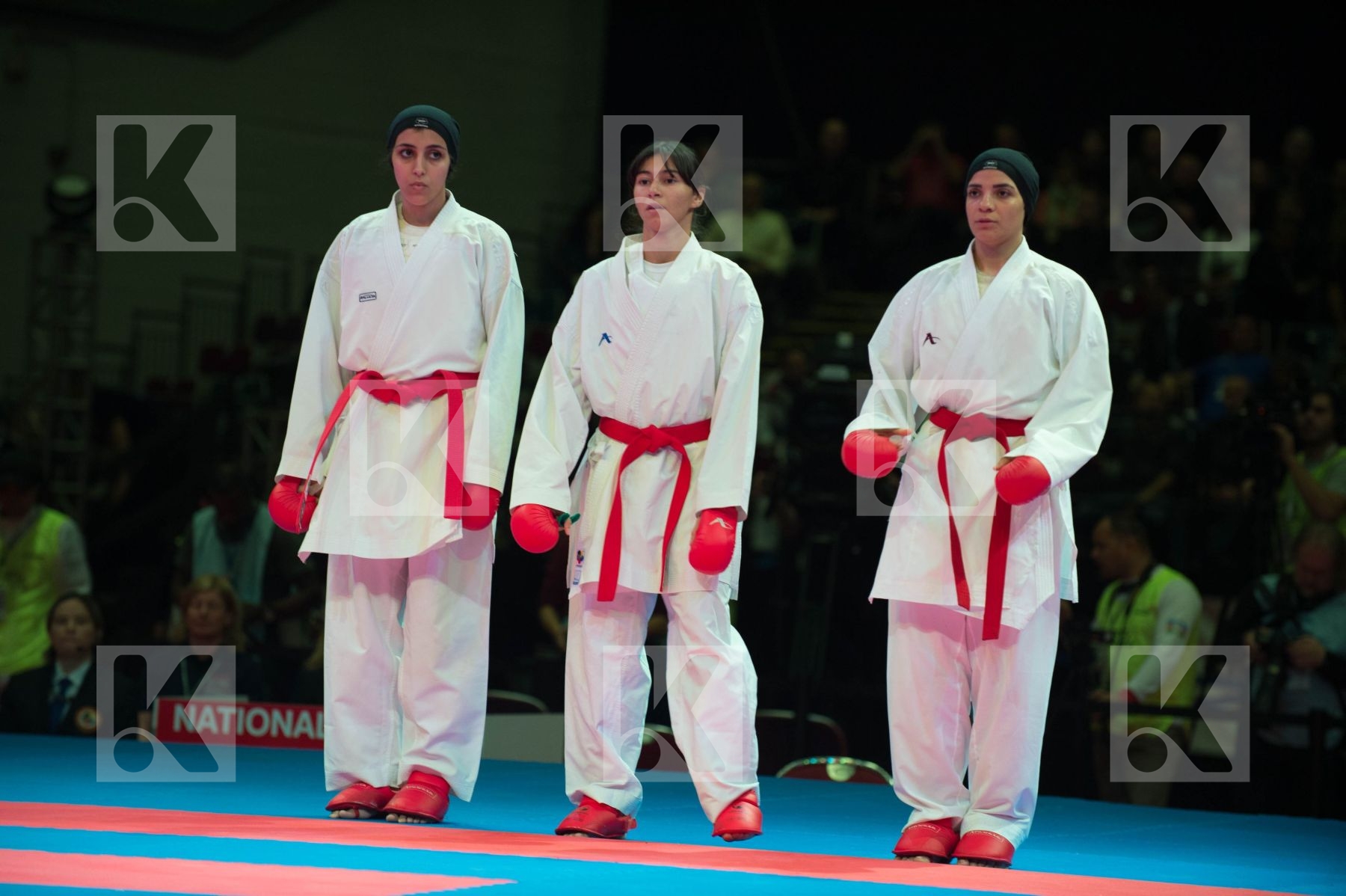 World Senior Karate Championship 2014 Bremen