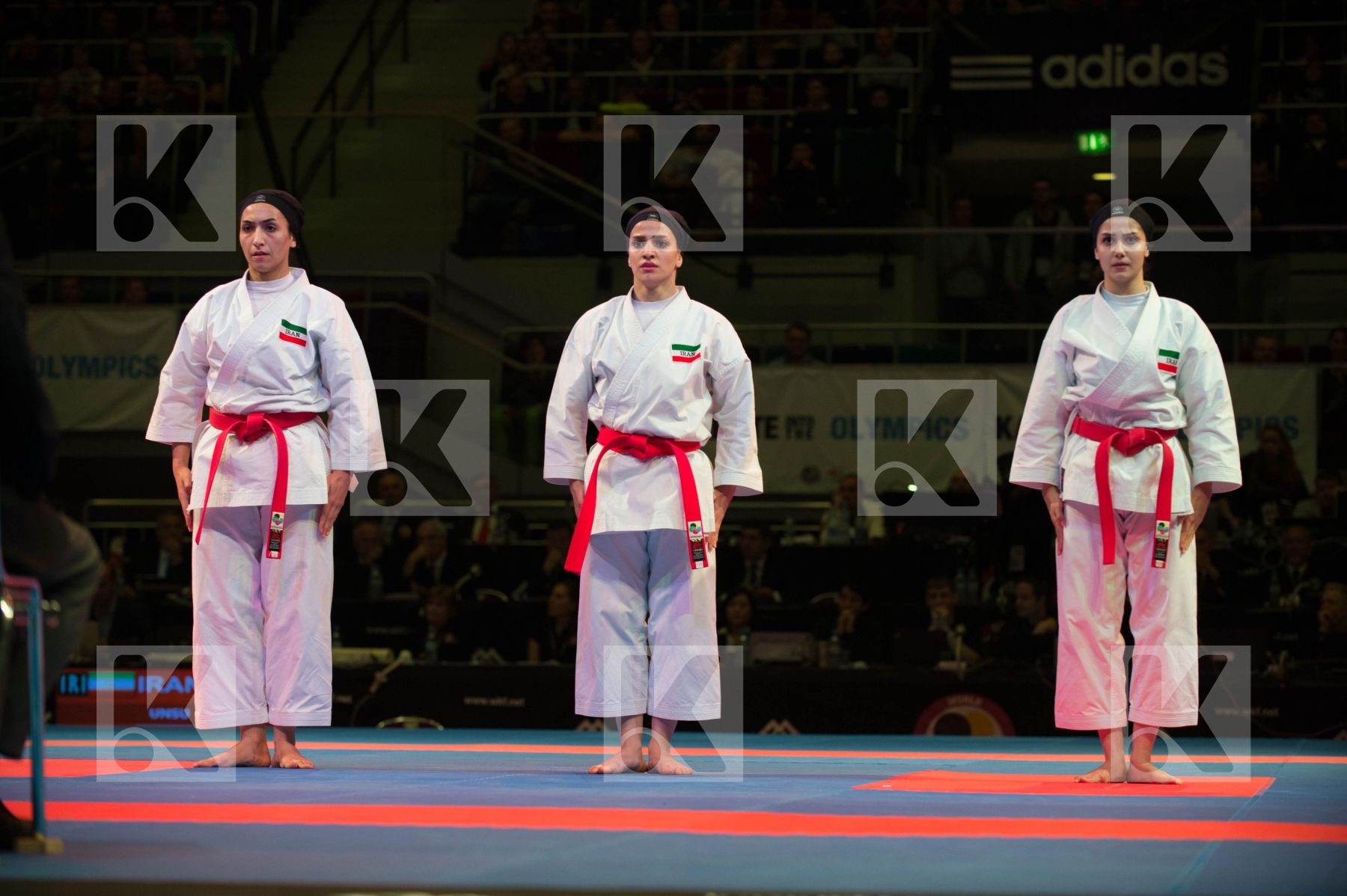 World Senior Karate Championship 2014 Bremen