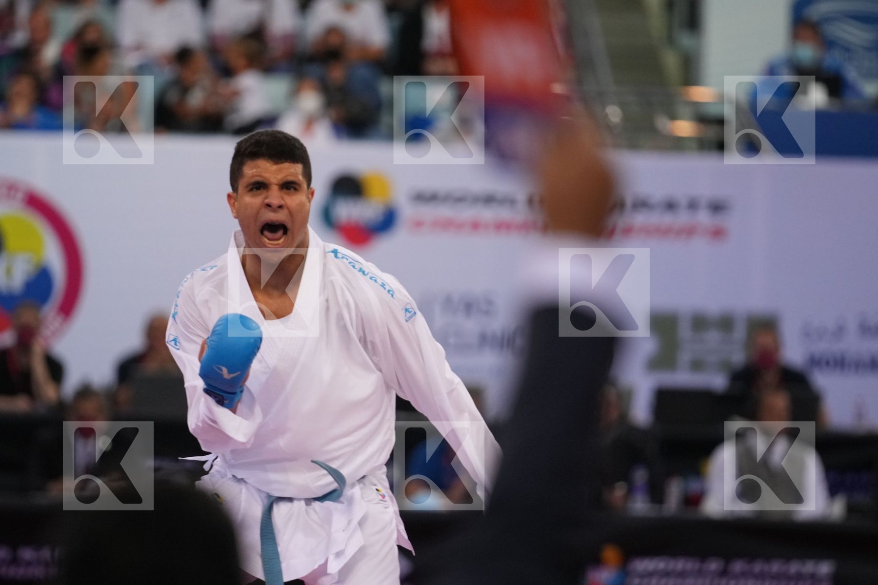 HUAIQUIMAN FABIAN (CHILE) vs BADAWY YOUSSEF (EGYPT) in Male Kumite -84 Kg - final bout