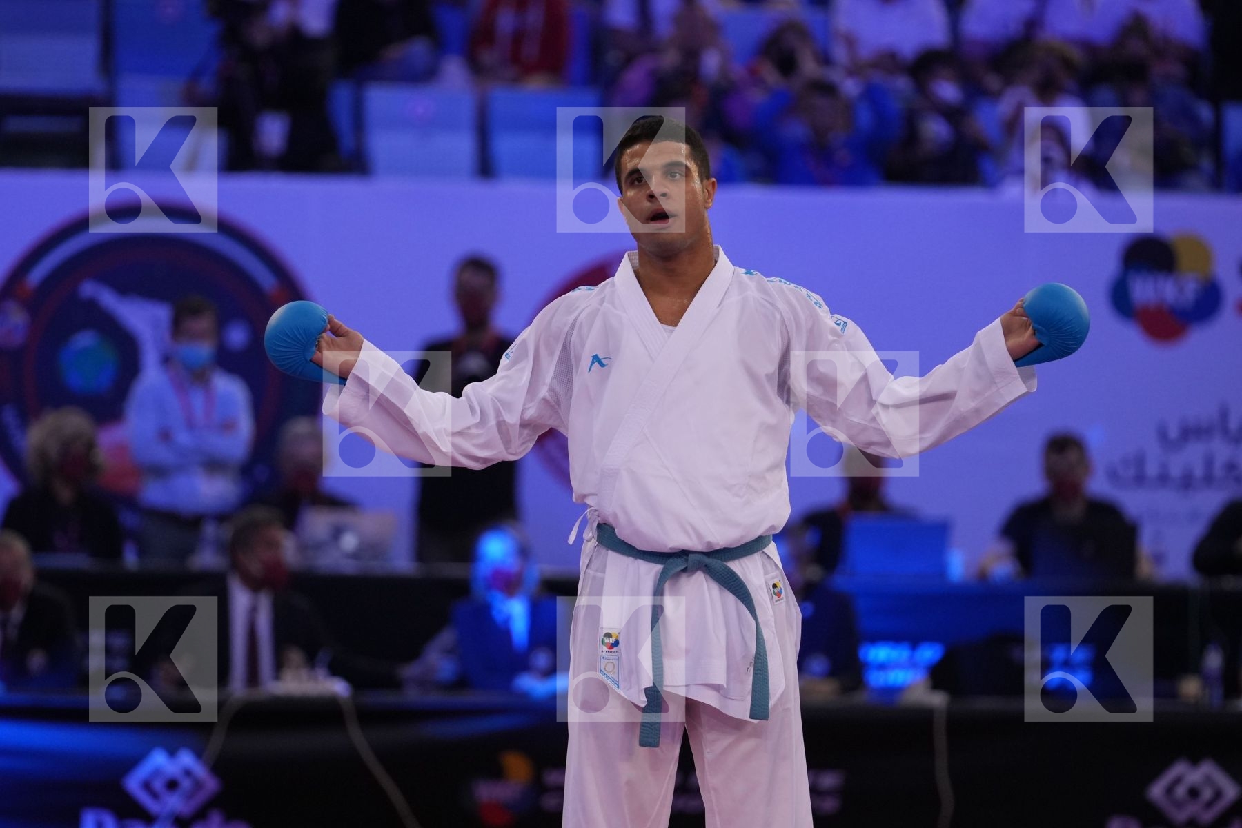 HUAIQUIMAN FABIAN (CHILE) vs BADAWY YOUSSEF (EGYPT) in Male Kumite -84 Kg - final bout