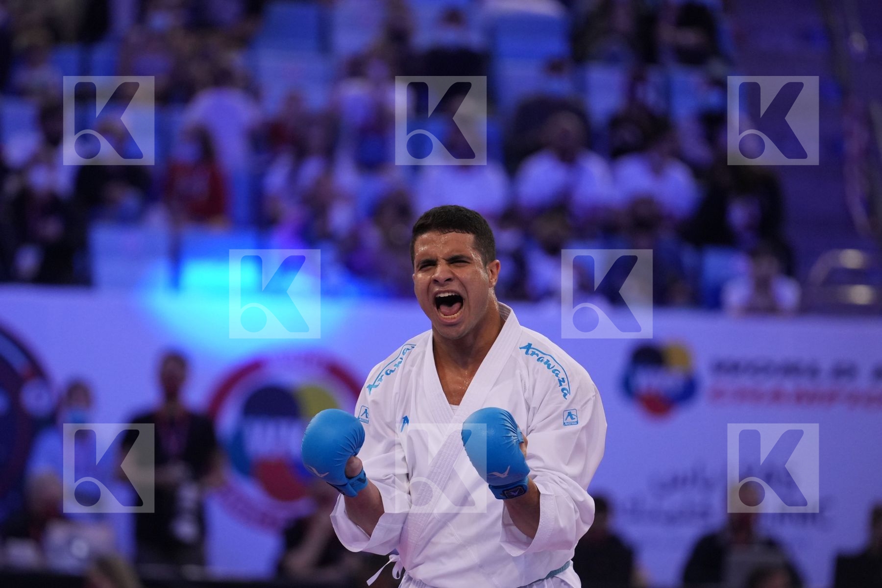 HUAIQUIMAN FABIAN (CHILE) vs BADAWY YOUSSEF (EGYPT) in Male Kumite -84 Kg - final bout