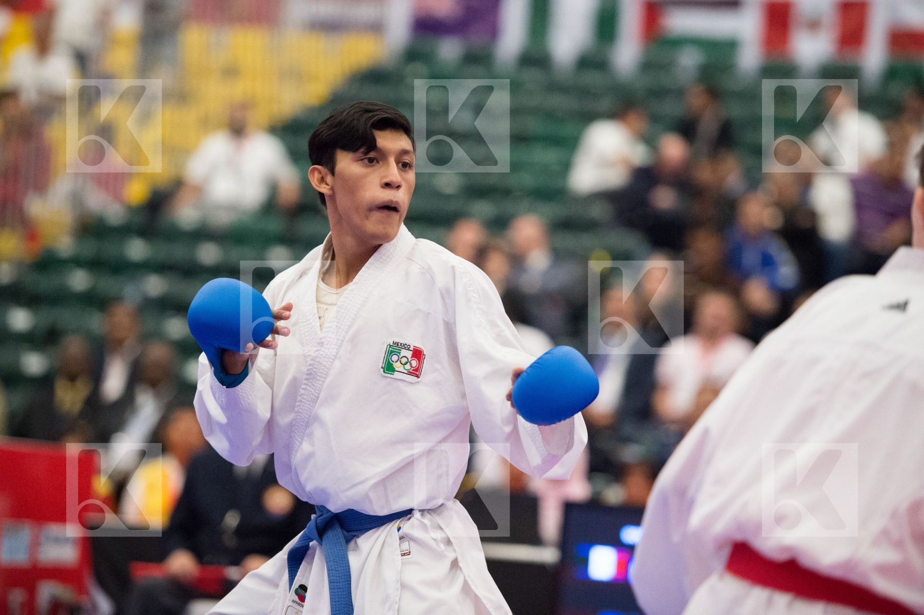 -55 kg Arawaza France Gonzalez Erick Junior Merienne Arthur Mexi
