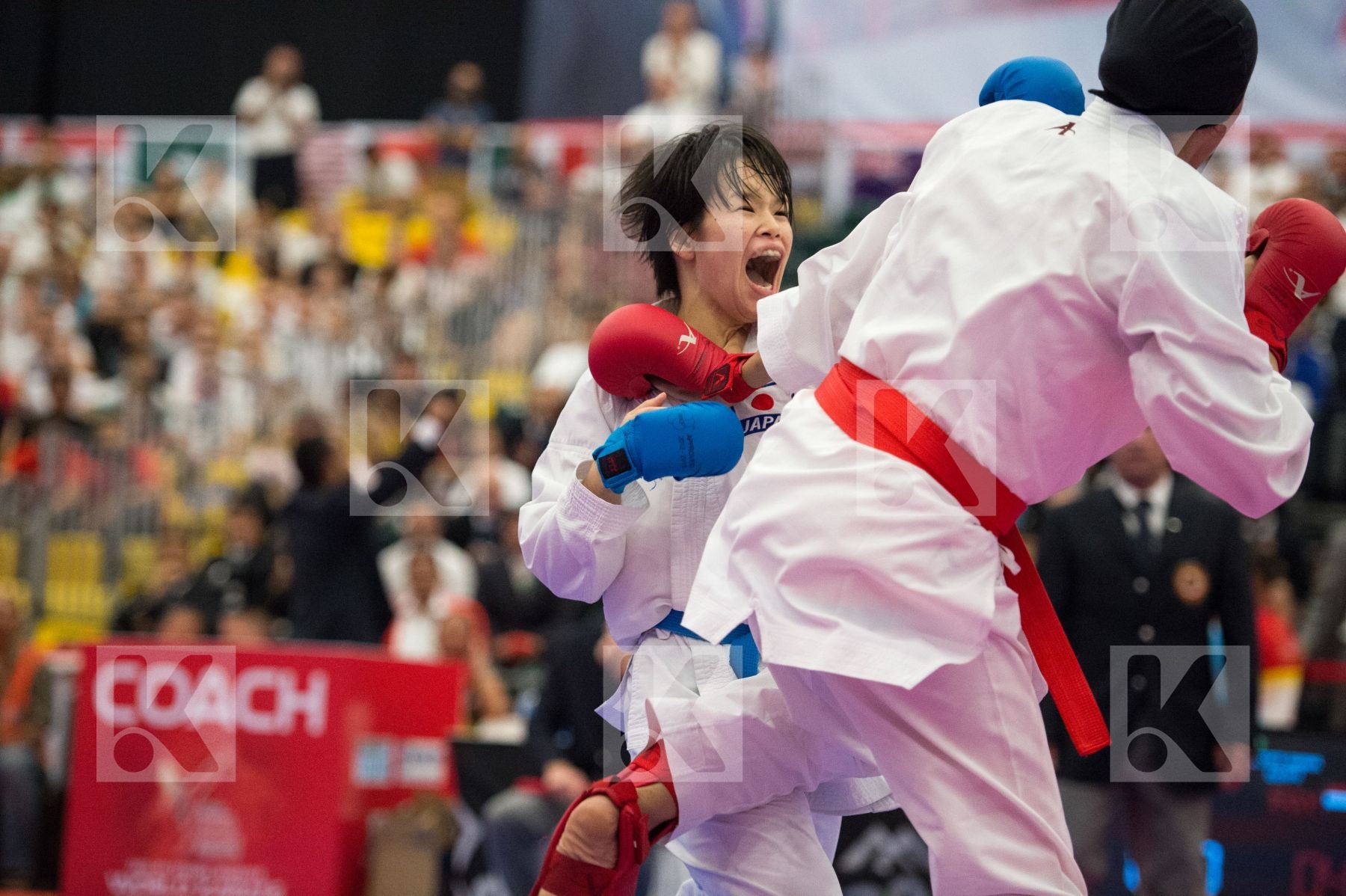 -61 kg Egypt Japan Lotfy Giana Moriguchi Ayami U21