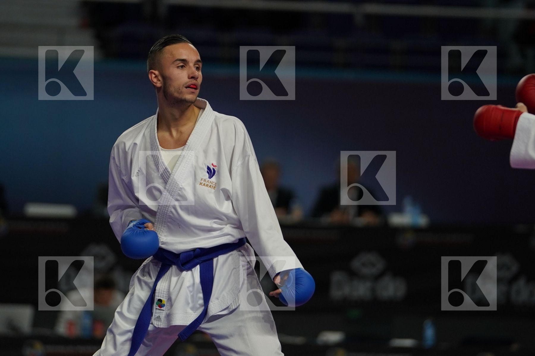 VINICIUS FIGUEIRA (BRAZIL) vs STEVEN DACOSTA (FRANCE) in Senior Kumite -67 Kg - Final bout