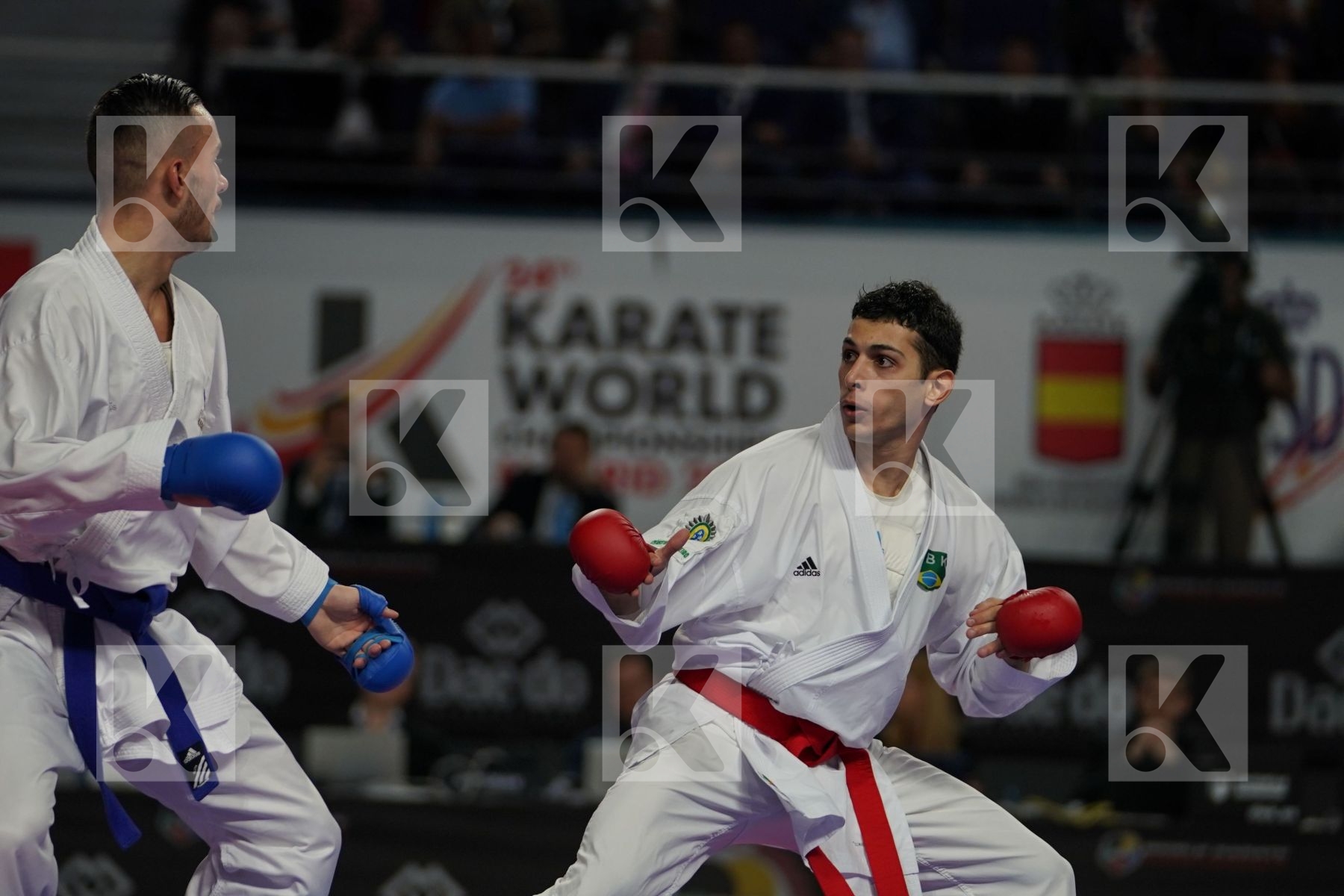 VINICIUS FIGUEIRA (BRAZIL) vs STEVEN DACOSTA (FRANCE) in Senior Kumite -67 Kg - Final bout
