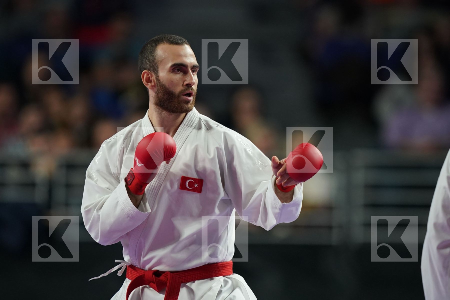 TURKEY (AKTAS, ELTEMUR, GOK, KAPTAN, OZER, UYGUR, YAMANOGLU) vs IRAN (ABAZARI, ASGARI GHONCHEH, ASIABARI, GANJZADEH, HEYDARI, KHODABAKHSHI, POORSHAB) in Senior Team Male Kumite - Final bout