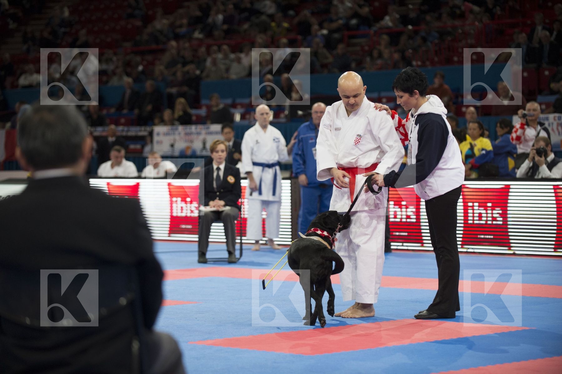 World Senior Karate Championship 2012 Paris 2012