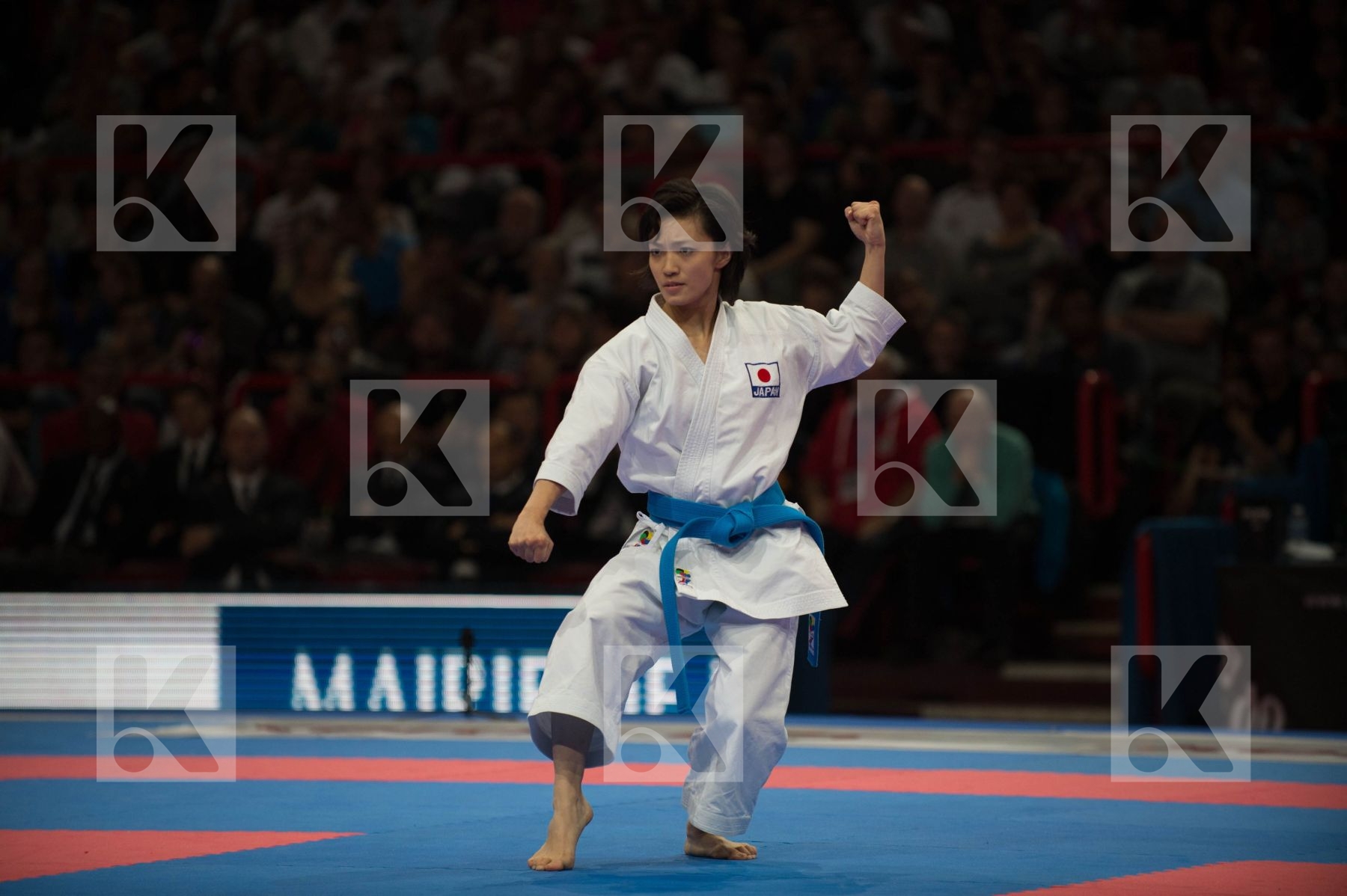 World Senior Karate Championship 2012 Paris 2012