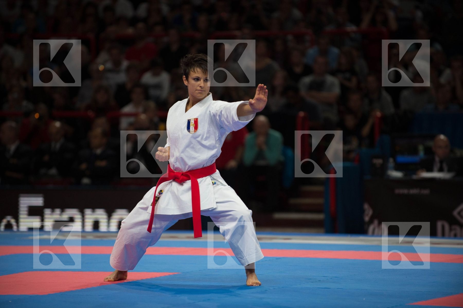 World Senior Karate Championship 2012 Paris 2012