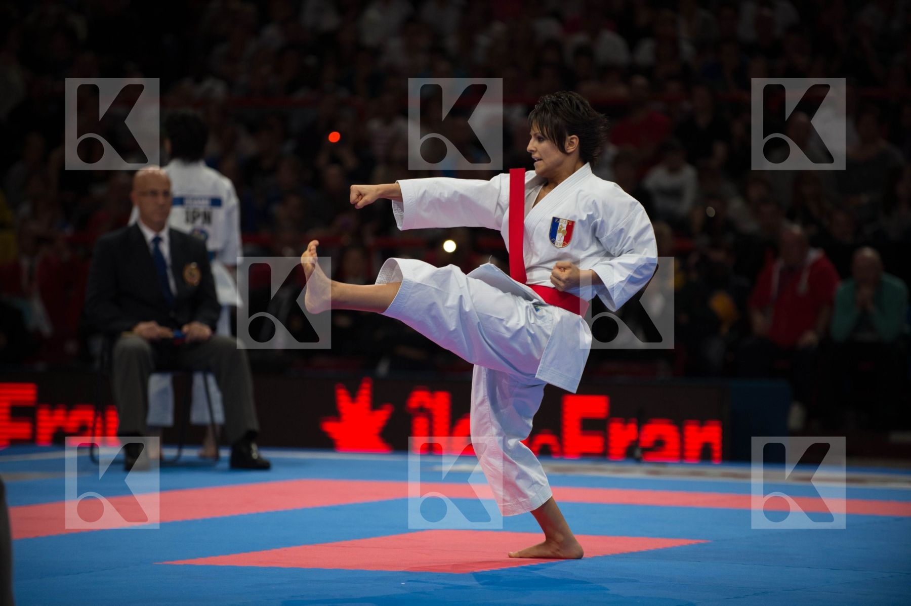 World Senior Karate Championship 2012 Paris 2012