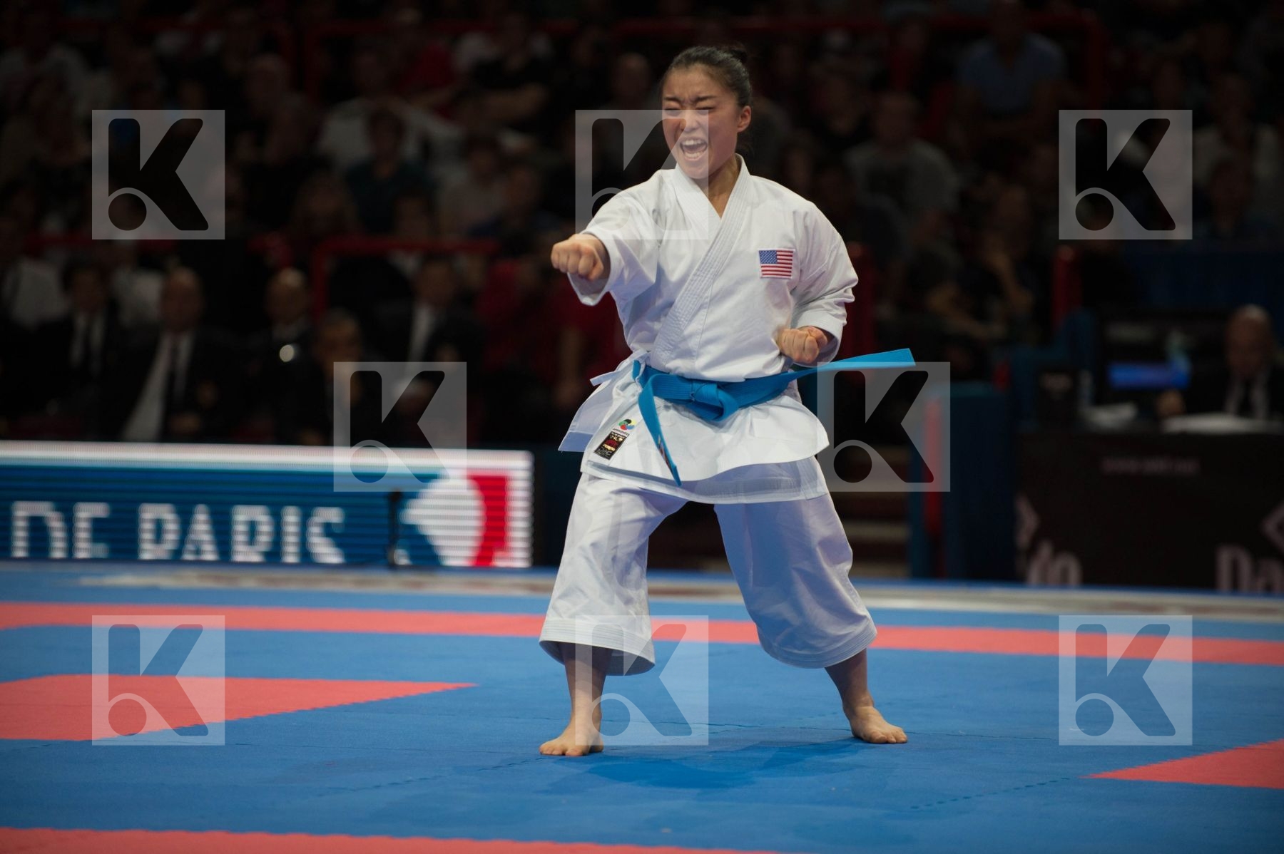 World Senior Karate Championship 2012
