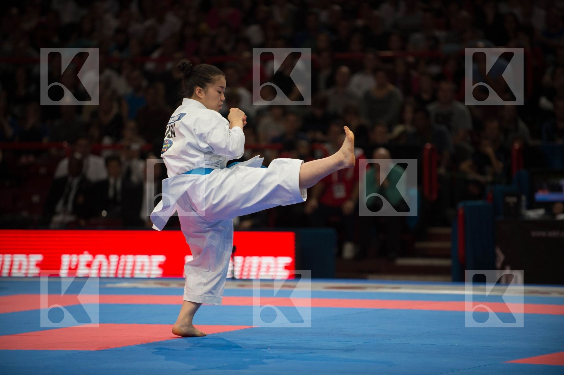 World Senior Karate Championship 2012