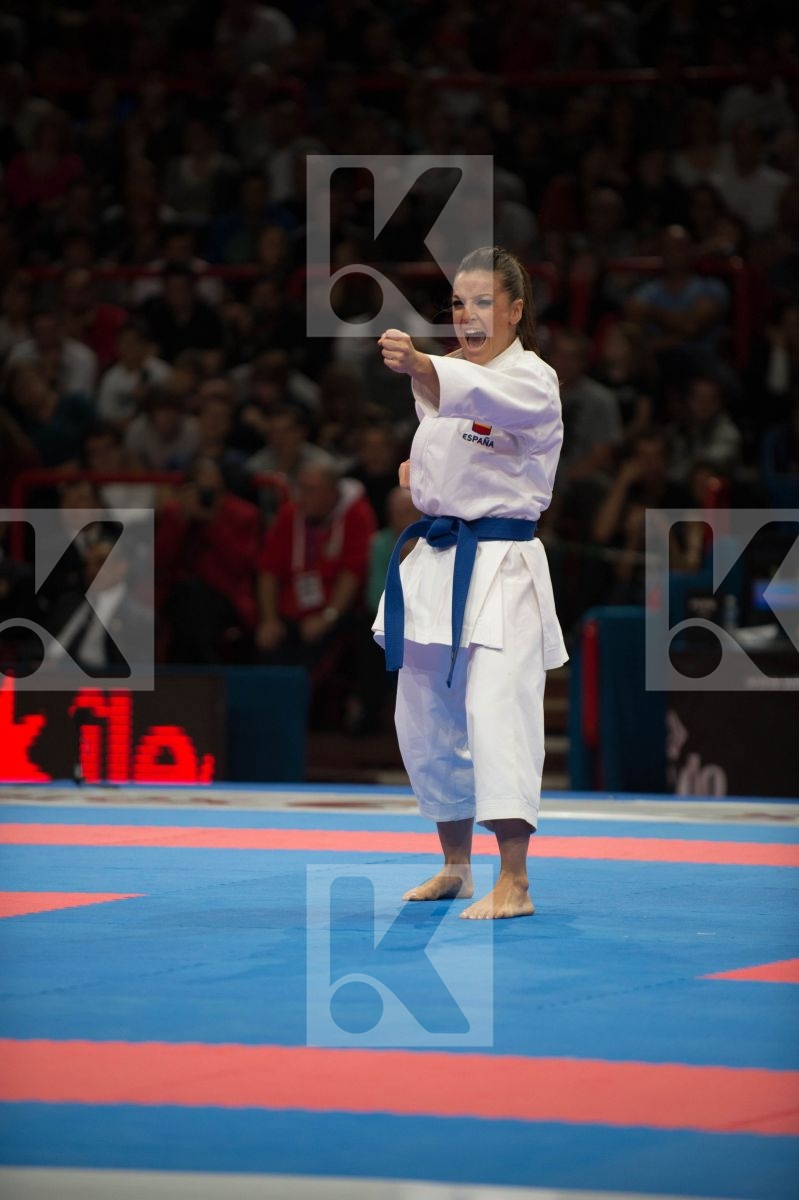 World Senior Karate Championship 2012