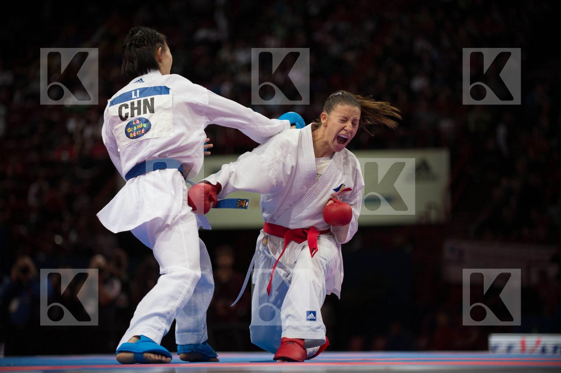 World Senior Karate Championship 2012 Paris 2012