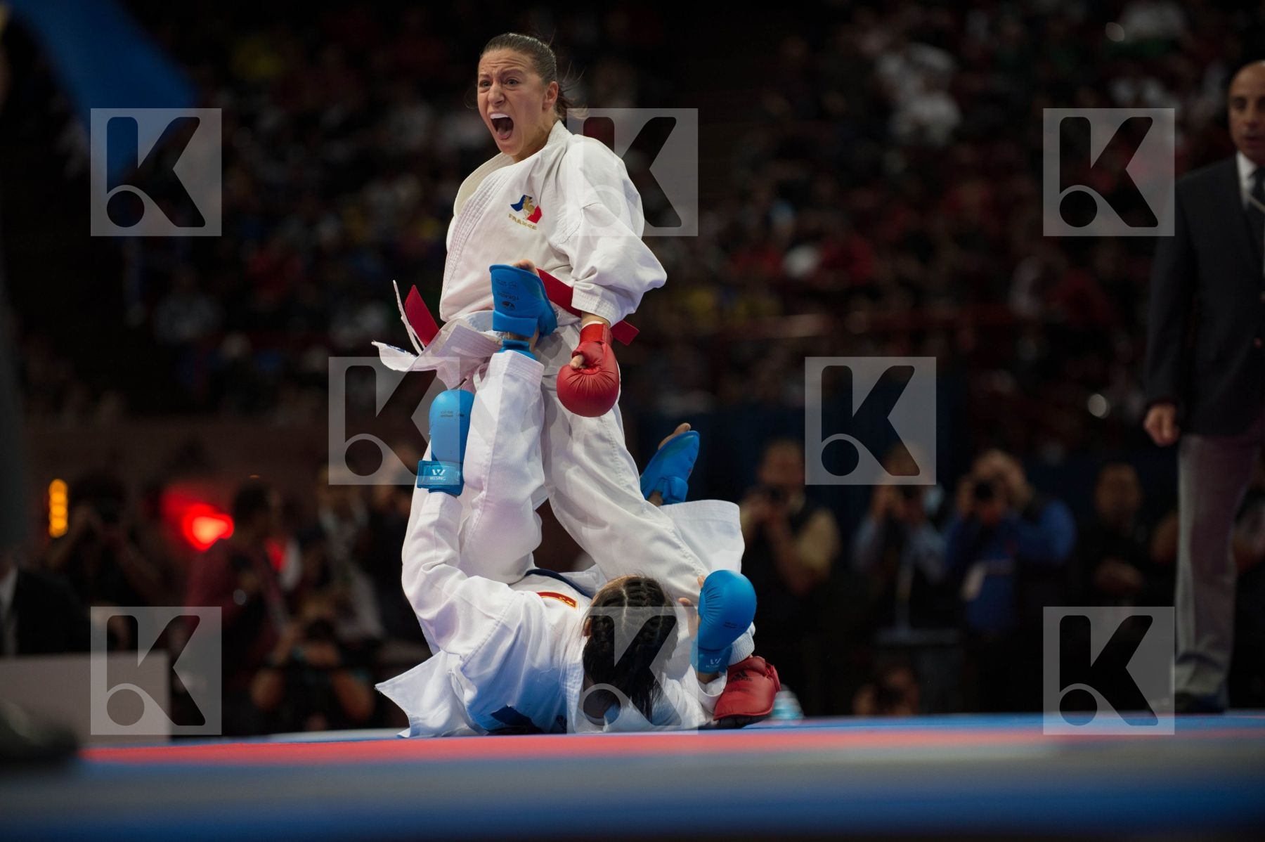 World Senior Karate Championship 2012 Paris 2012