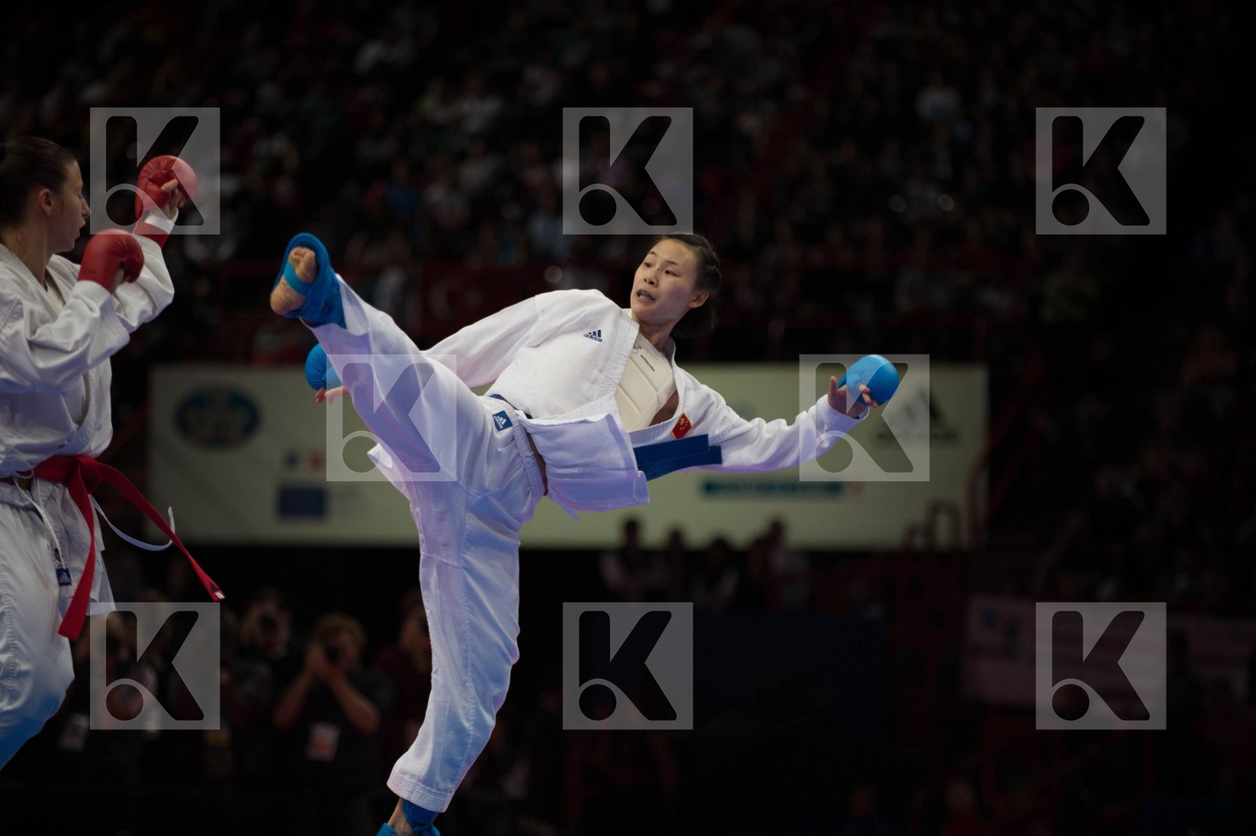 World Senior Karate Championship 2012 Paris 2012