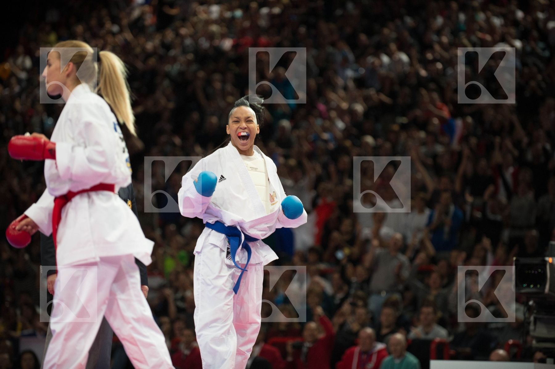 World Senior Karate Championship 2012 Paris 2012