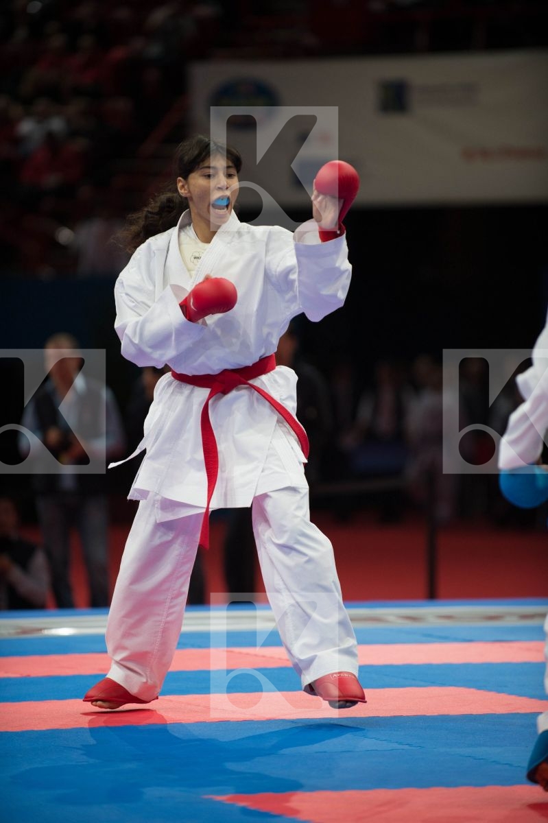 World Senior Karate Championship 2012 Paris 2012