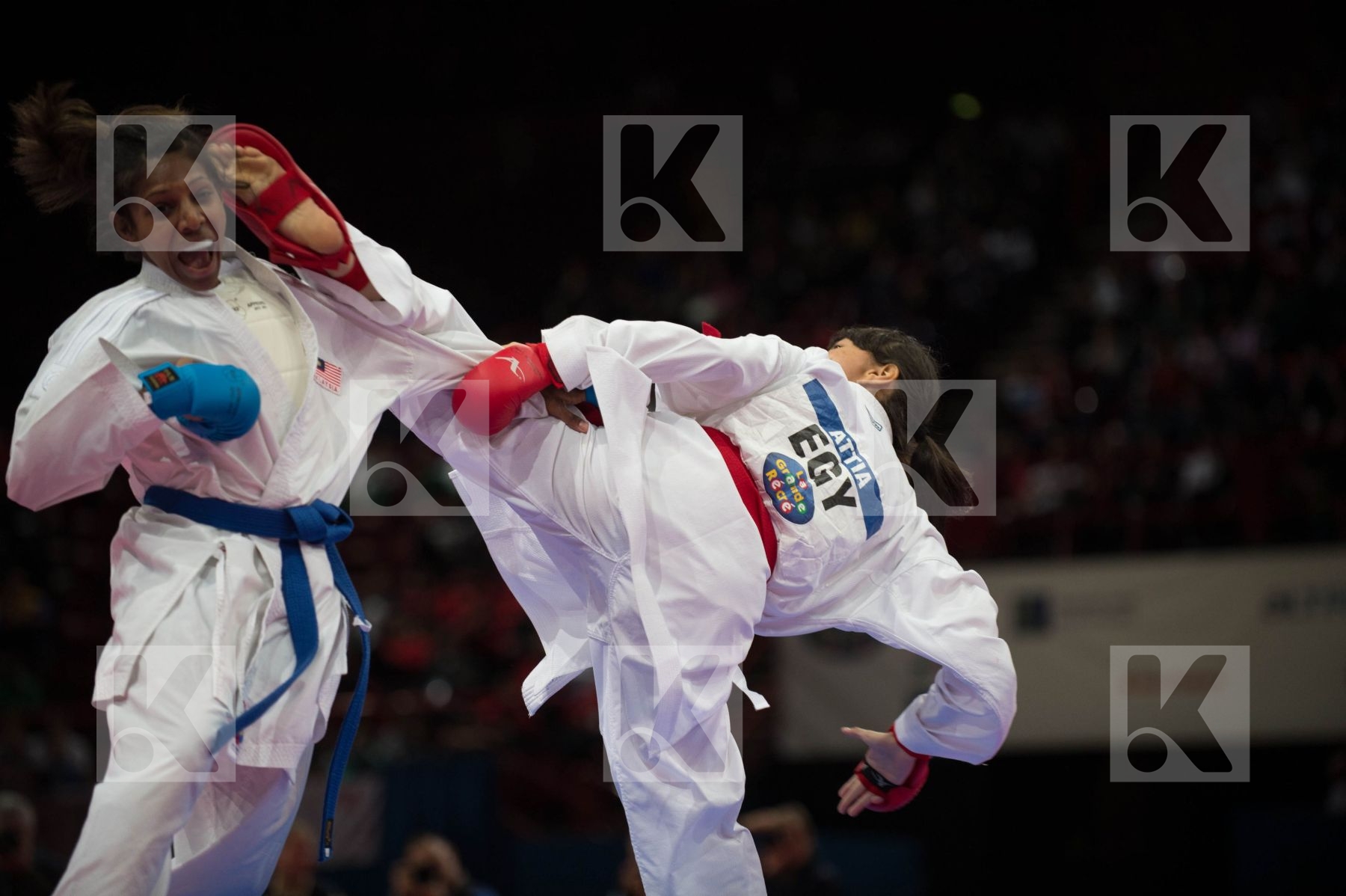 World Senior Karate Championship 2012 Paris 2012