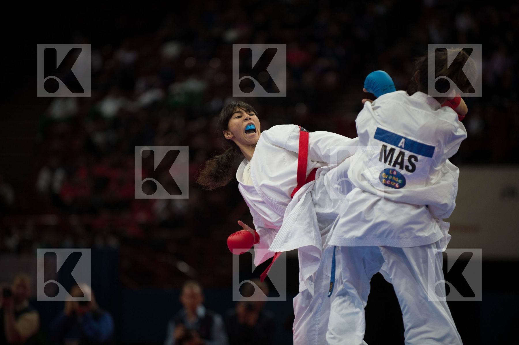 World Senior Karate Championship 2012 Paris 2012