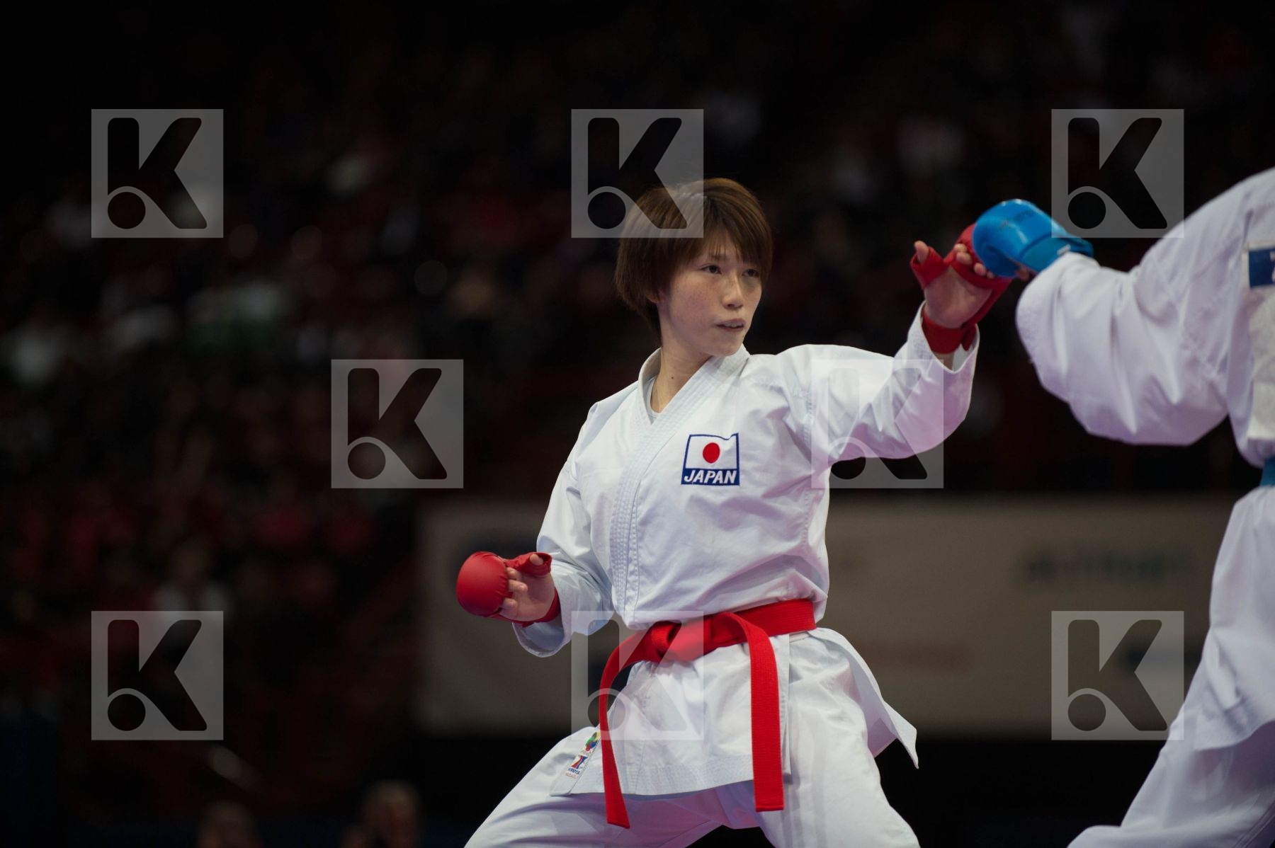 World Senior Karate Championship 2012 Paris 2012