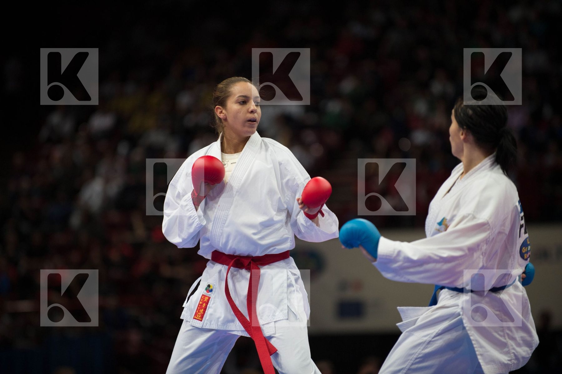World Senior Karate Championship 2012 Paris 2012