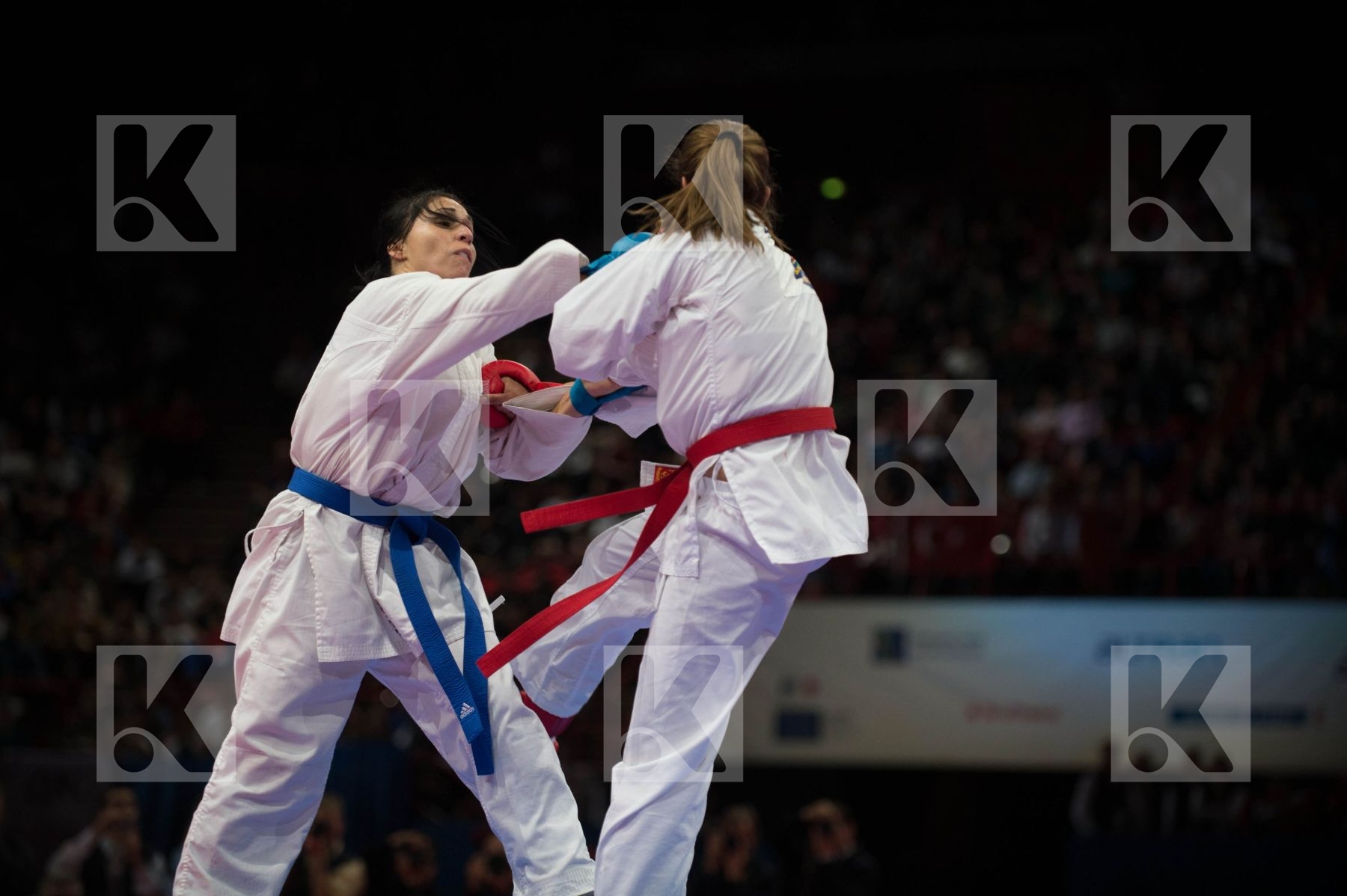 World Senior Karate Championship 2012 Paris 2012