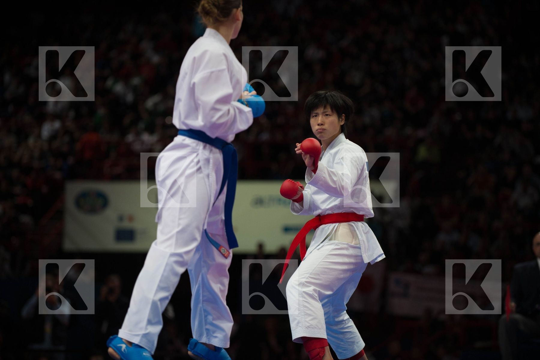 World Senior Karate Championship 2012 Paris 2012