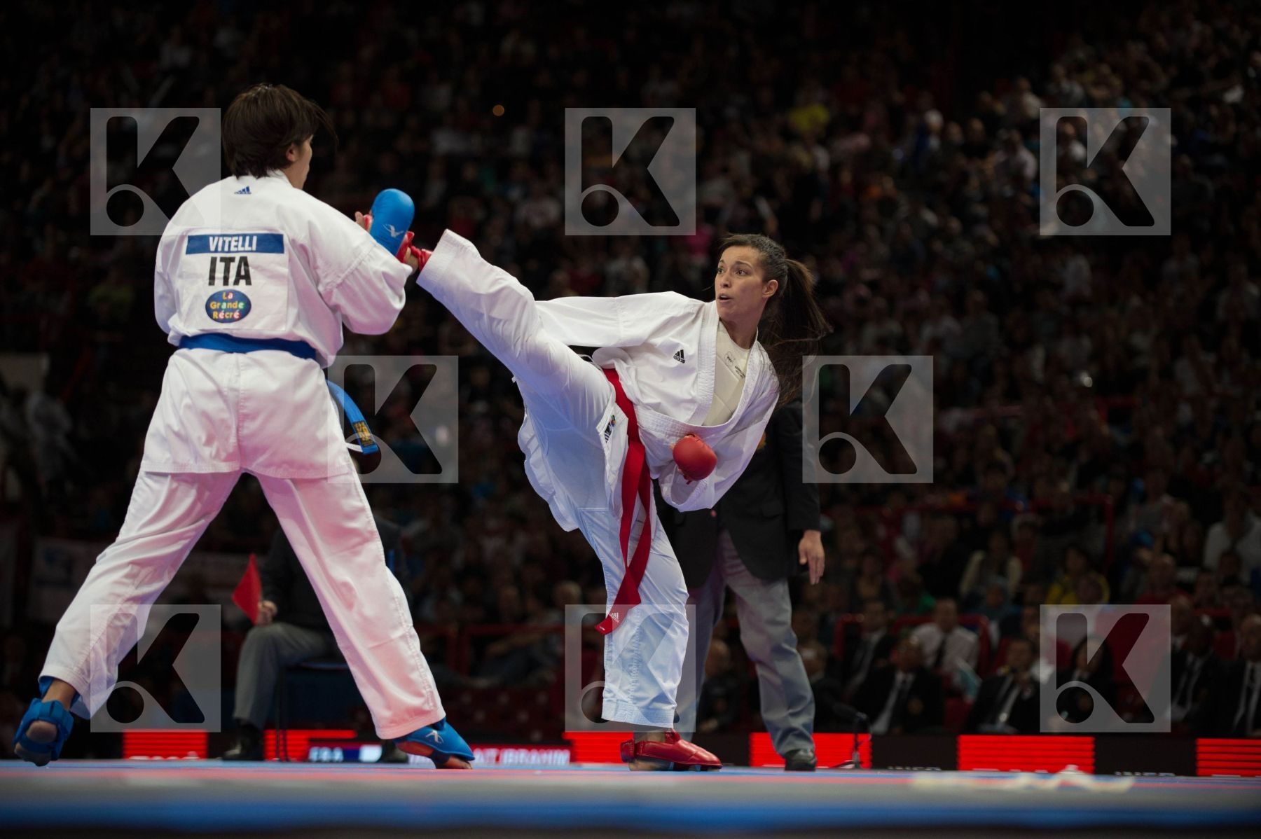 World Senior Karate Championship 2012 Paris 2012