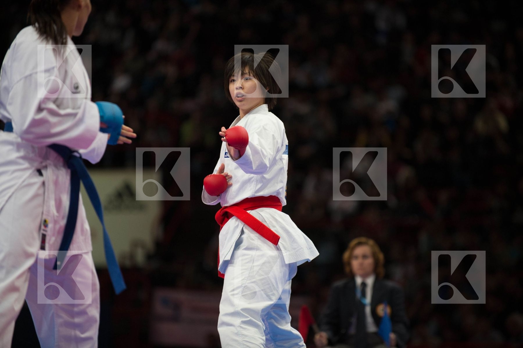 World Senior Karate Championship 2012 Paris 2012