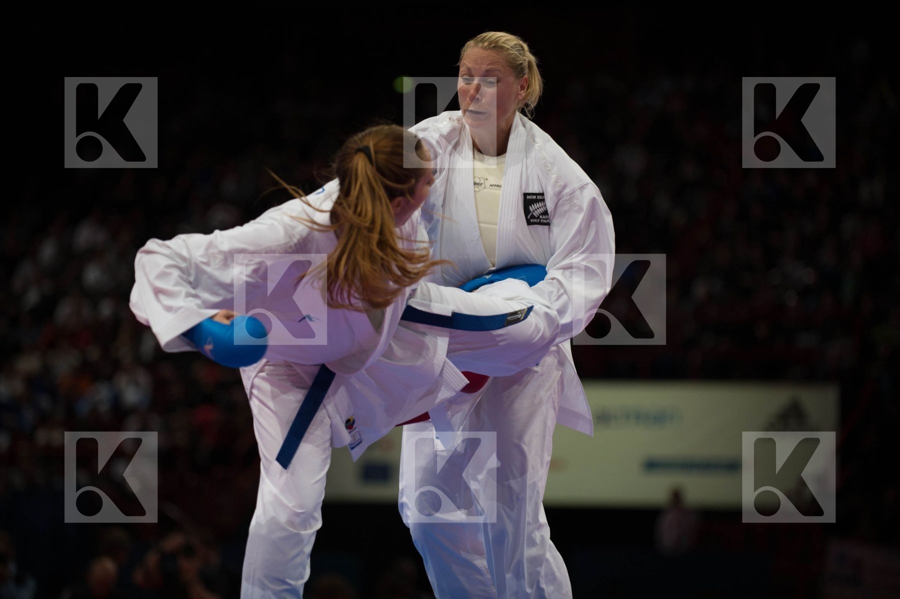 World Senior Karate Championship 2012 Paris 2012