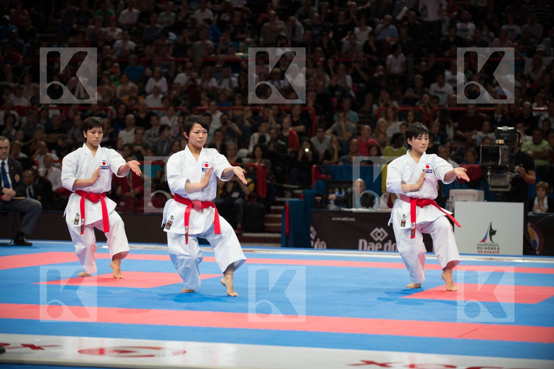 World Senior Karate Championship 2012 Paris 2012