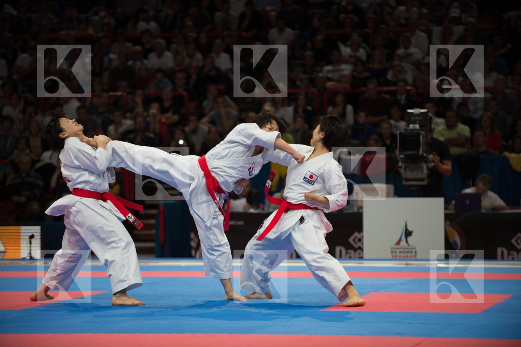 World Senior Karate Championship 2012 Paris 2012