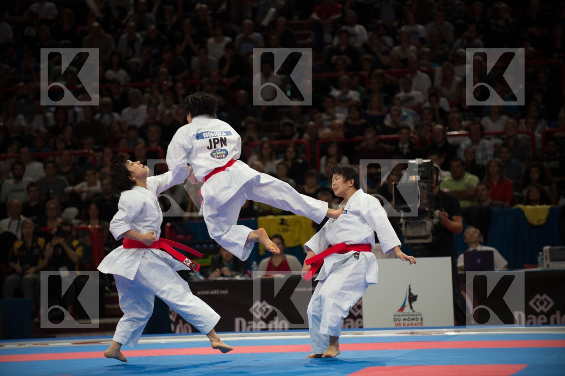 World Senior Karate Championship 2012 Paris 2012