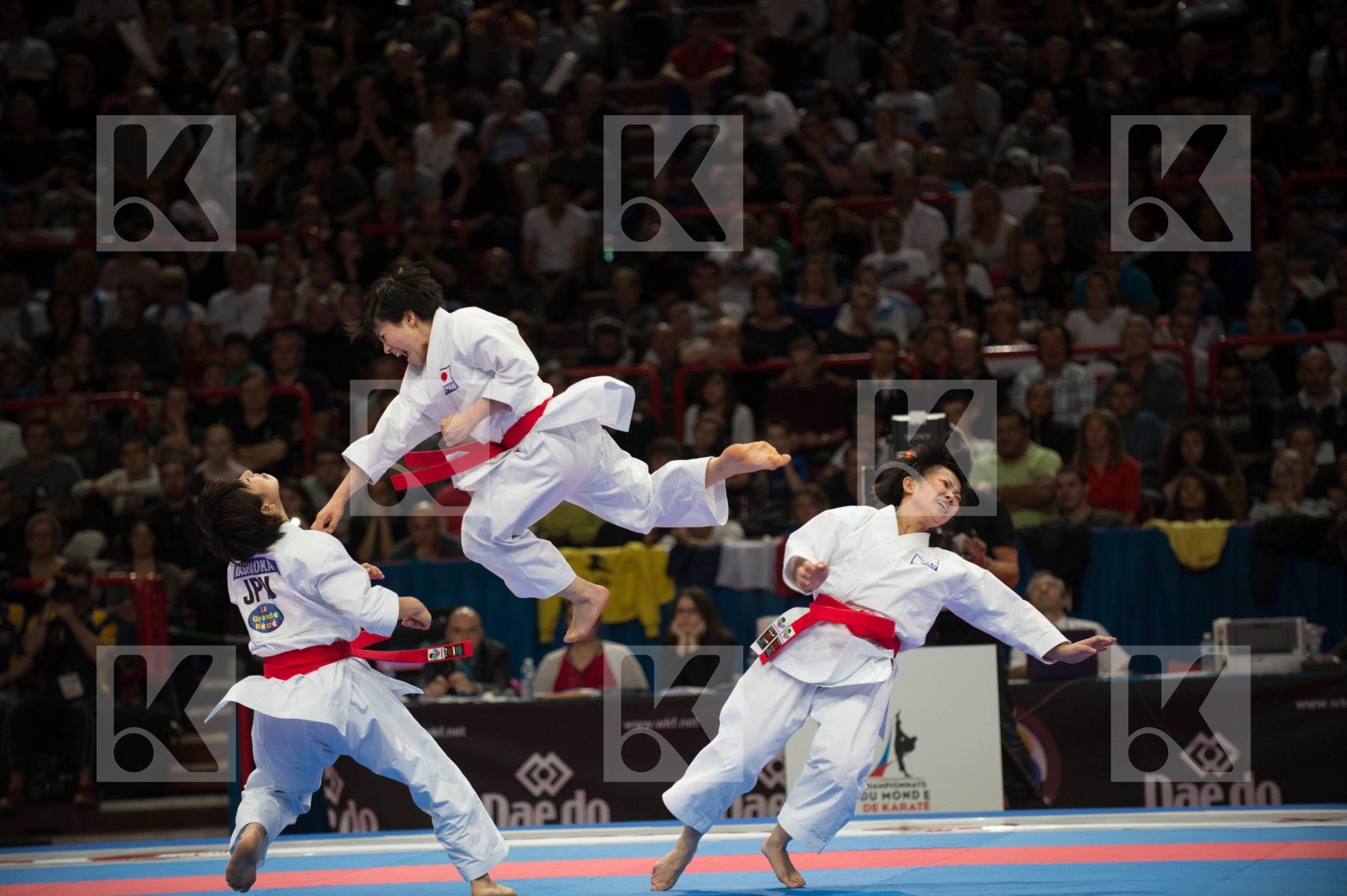 World Senior Karate Championship 2012 Paris 2012