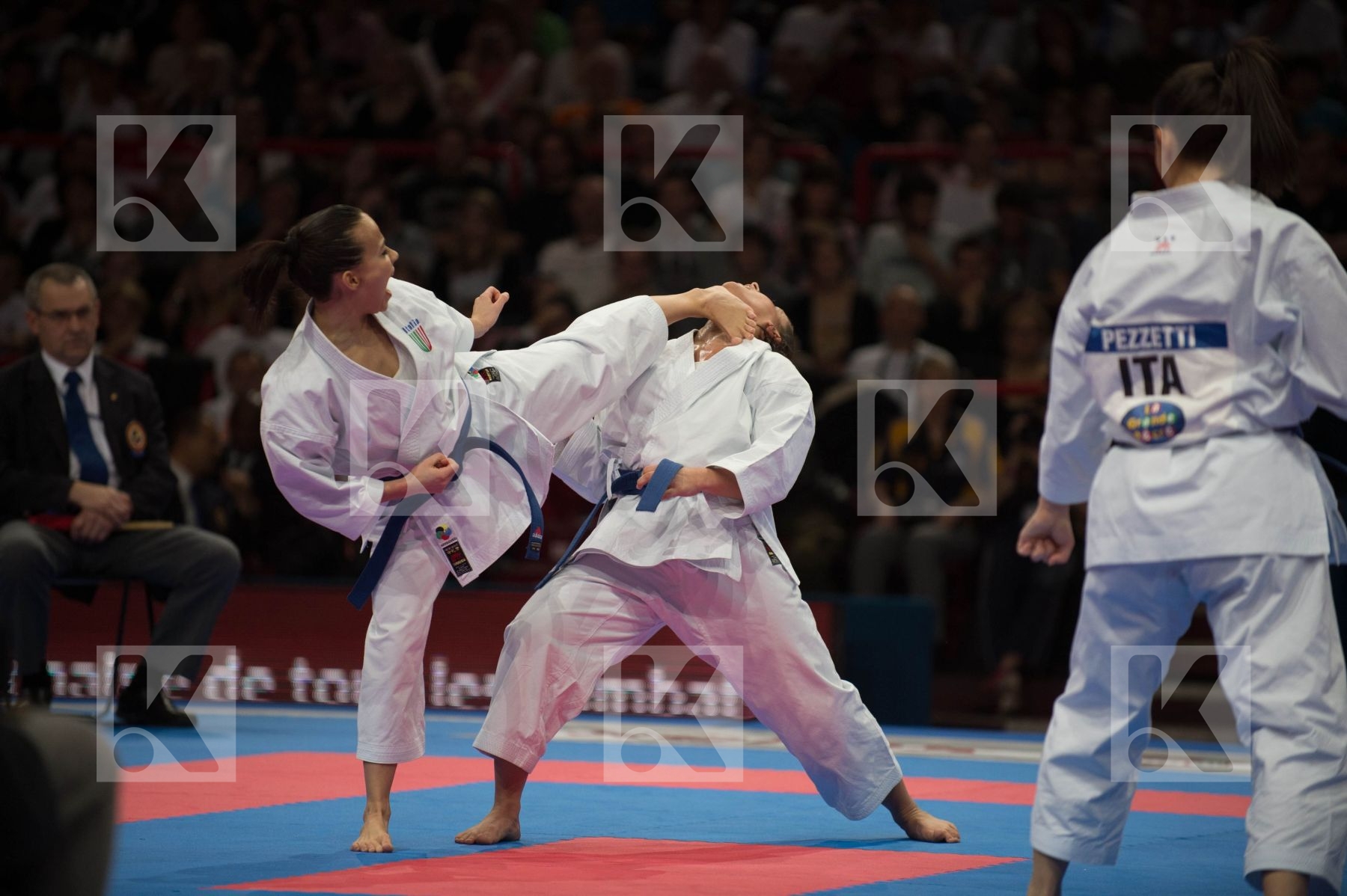 World Senior Karate Championship 2012 Paris 2012
