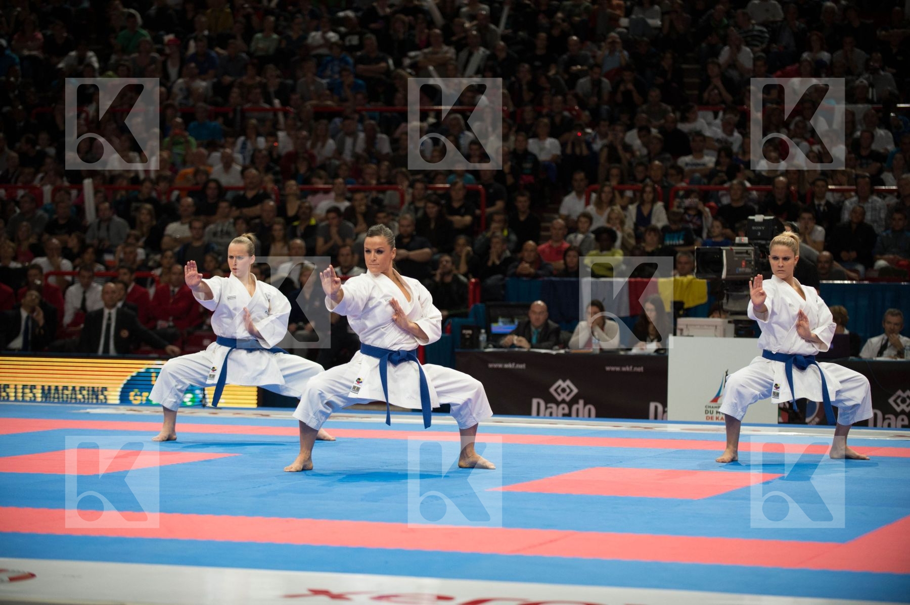 World Senior Karate Championship 2012 Paris 2012
