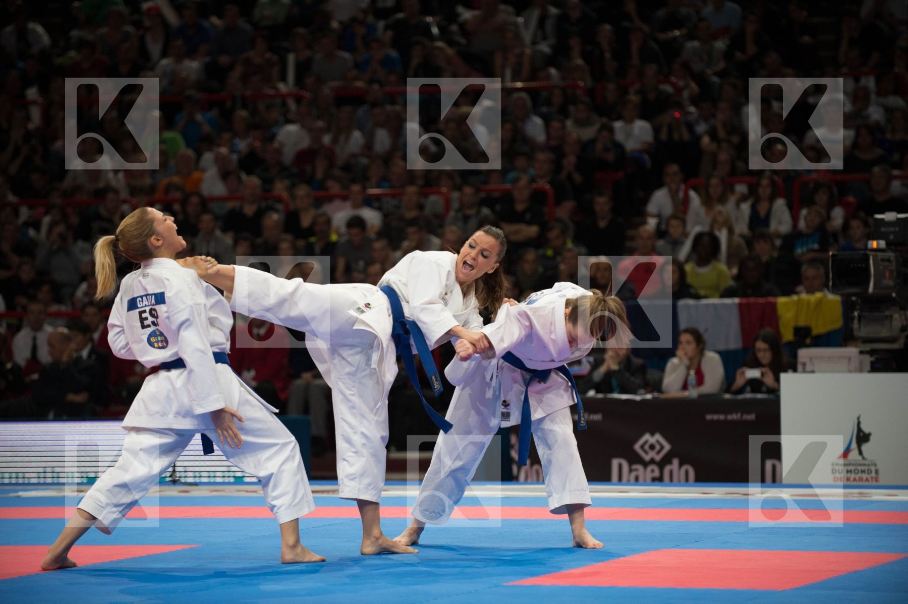 World Senior Karate Championship 2012 Paris 2012