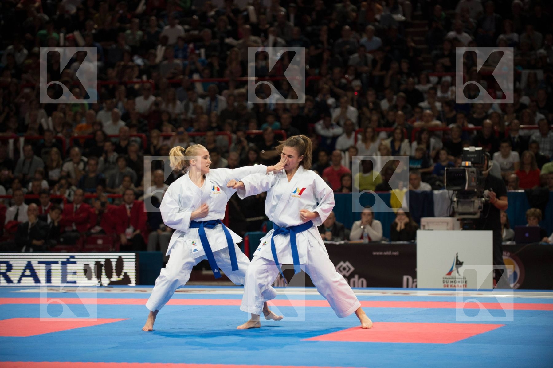 World Senior Karate Championship 2012 Paris 2012