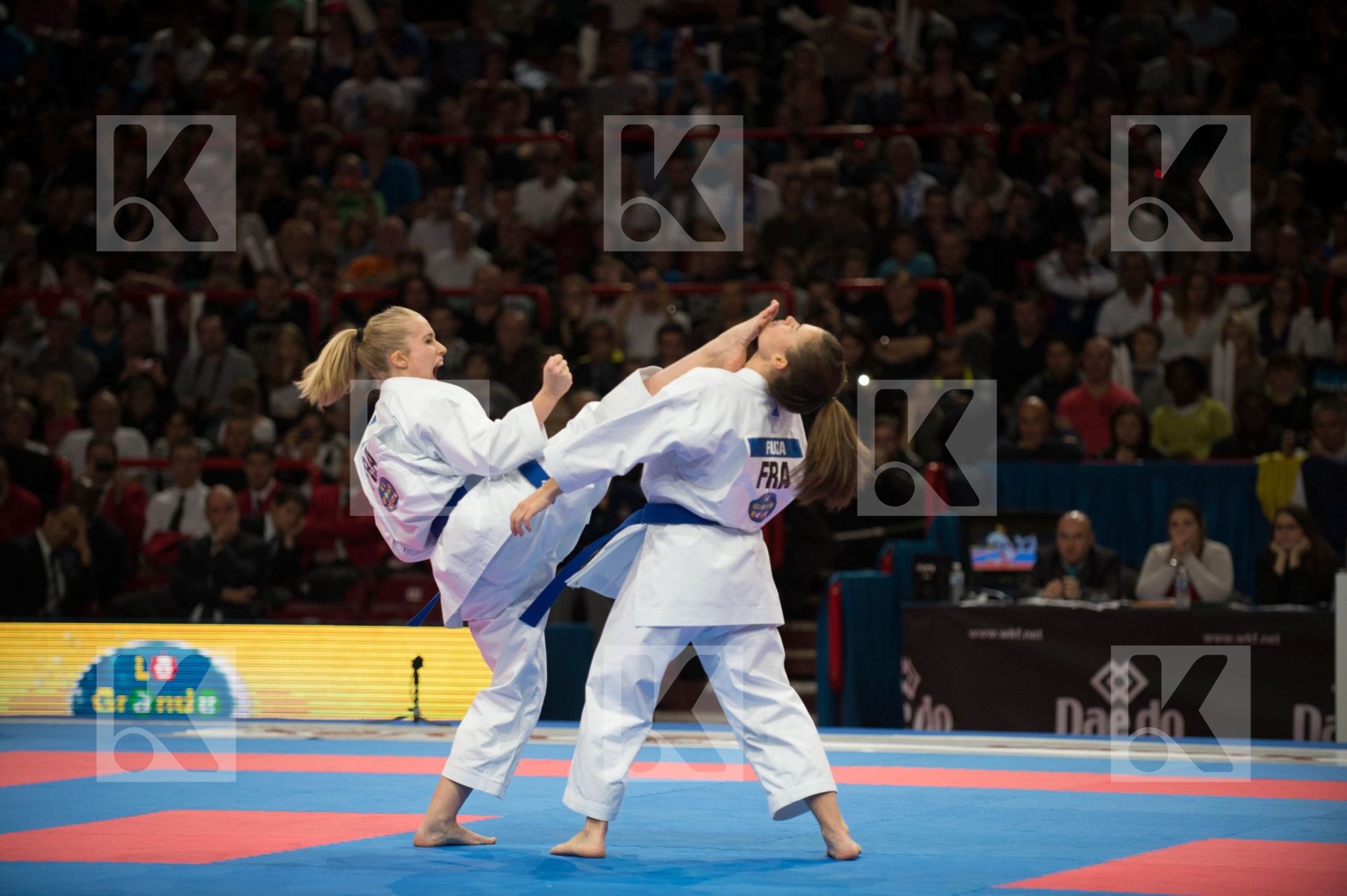 World Senior Karate Championship 2012 Paris 2012