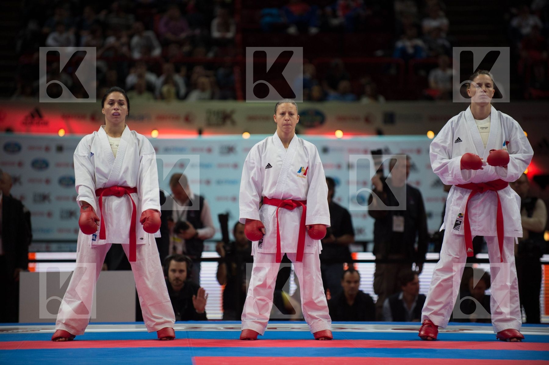 World Senior Karate Championship 2012 Paris 2012